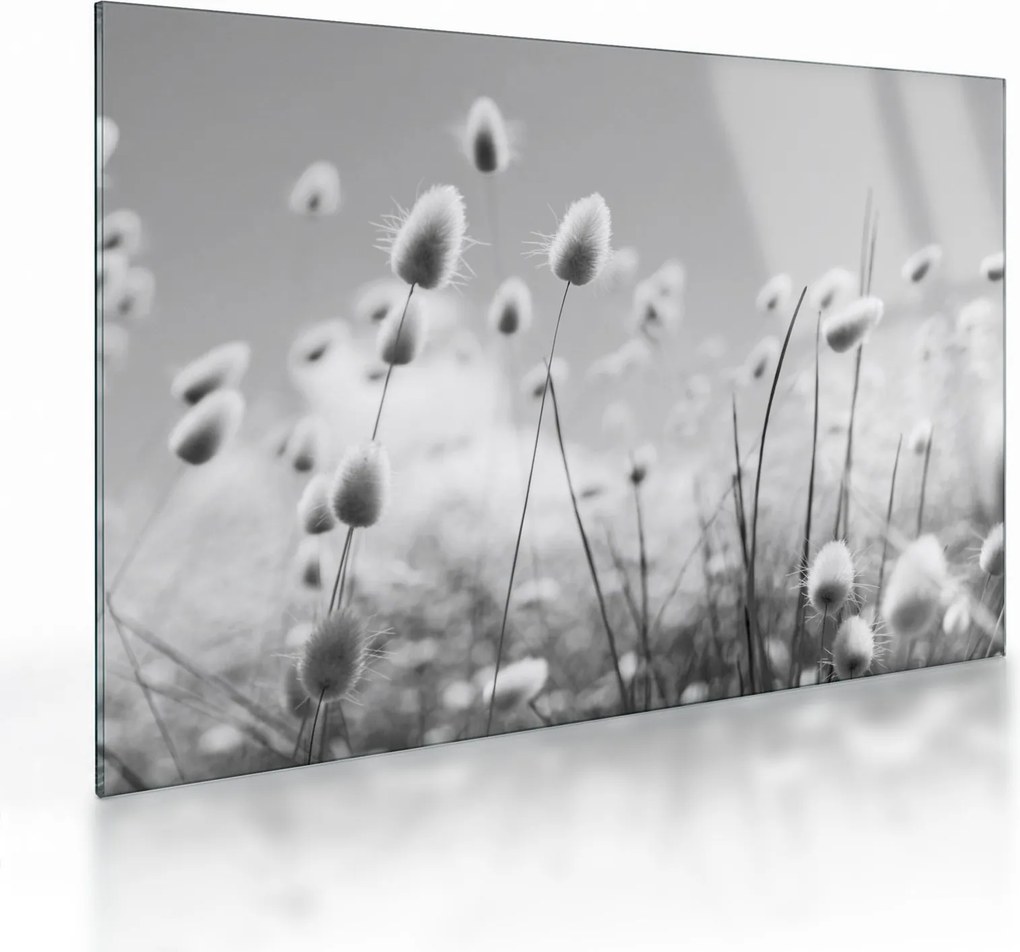 Üveg kép - Boho nyuszi farok fű (70x50 cm)