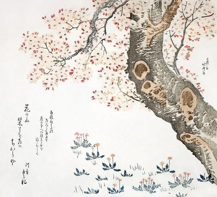 Reprodukció Cherry tree (1822), Katsushika Hokusai