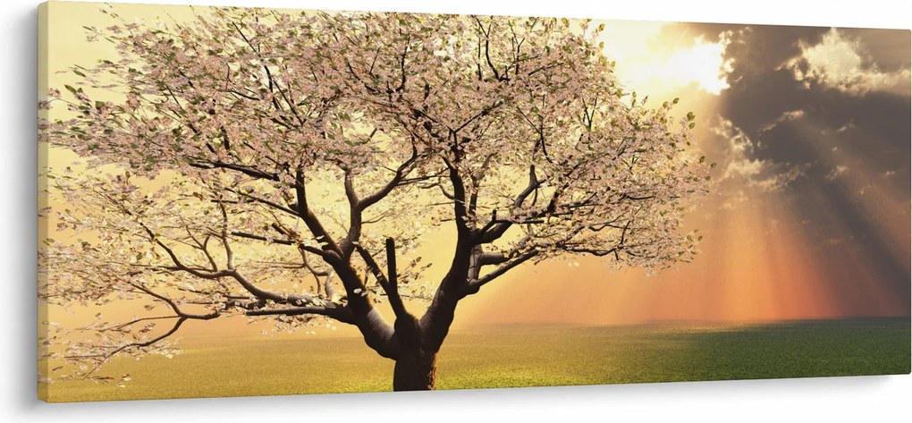 Fa képe a réten (120x50 cm)
