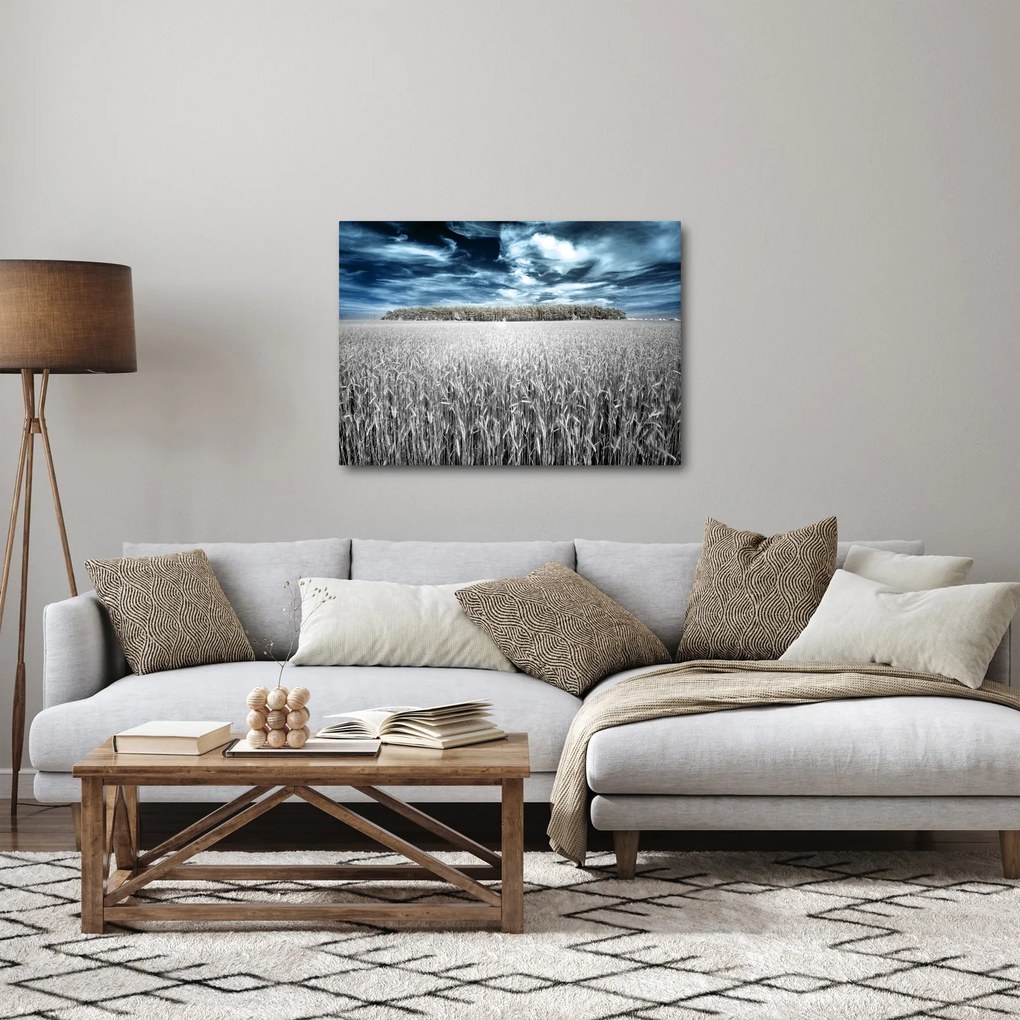 A mező képe (70x50 cm)