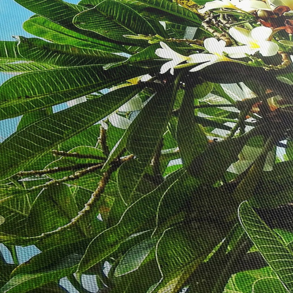 Kép - Plumeria (órával) (90x30 cm)