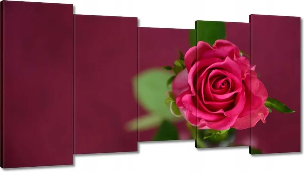 Vászonkép 150x80 Rózsa lila háttérrel