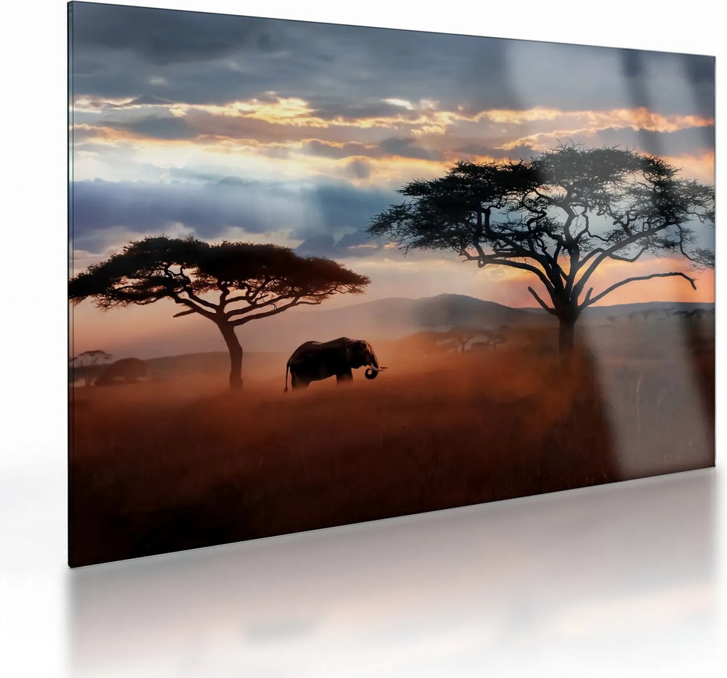 Kép - Serengeti Nemzeti Park, Tanzánia, Afrika (üvegen) (70x50 cm)