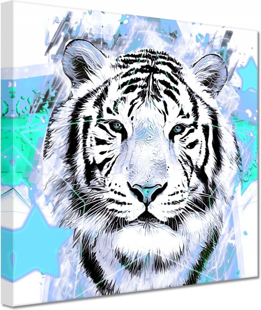 Vászonkép 20x20 Tigris csillag türkiz