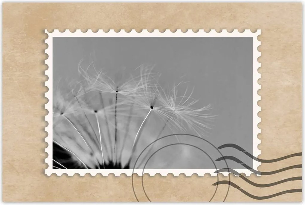 Poszterek 90x60 Pitypang Virág Virágok