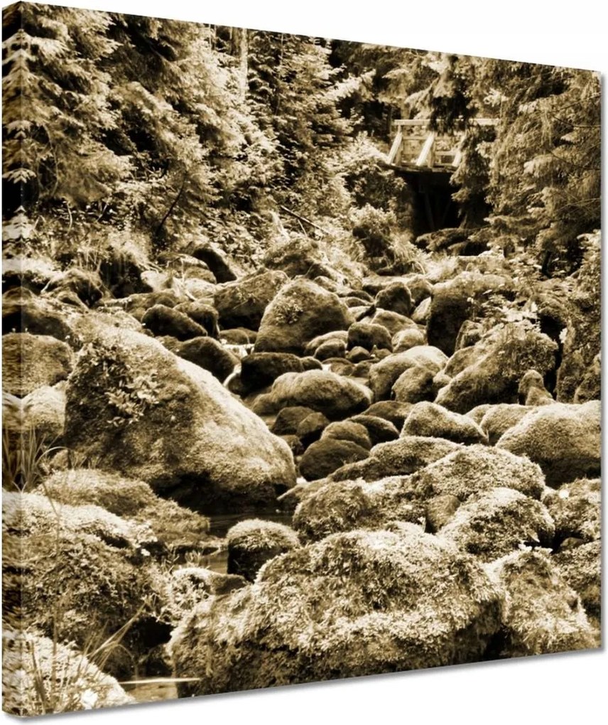 Vászonkép 30x30 Tátra Lengyel hegyek Kilátás