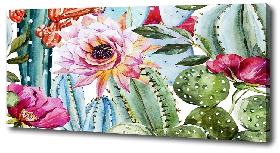 Fali vászonkép Kaktusz és virágok pl-oc-125x50-f-86911786