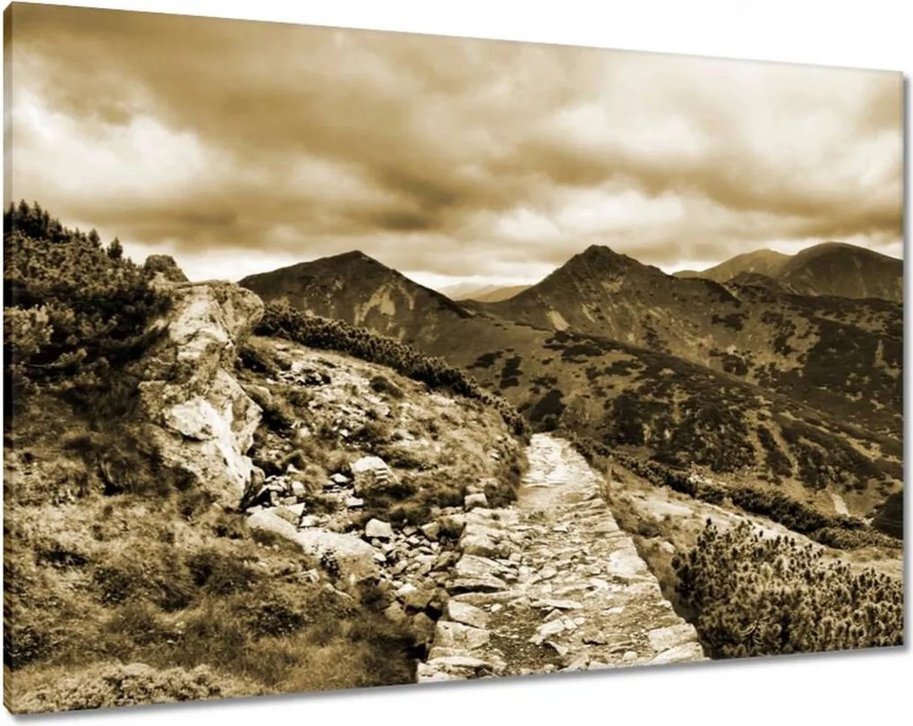 Képek 100x70 Tátra Lengyel hegyek Kilátás