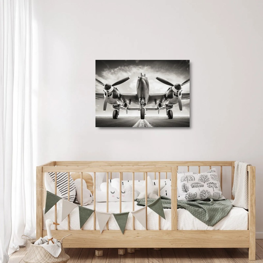 Üveg kép - Warbird (70x50 cm)