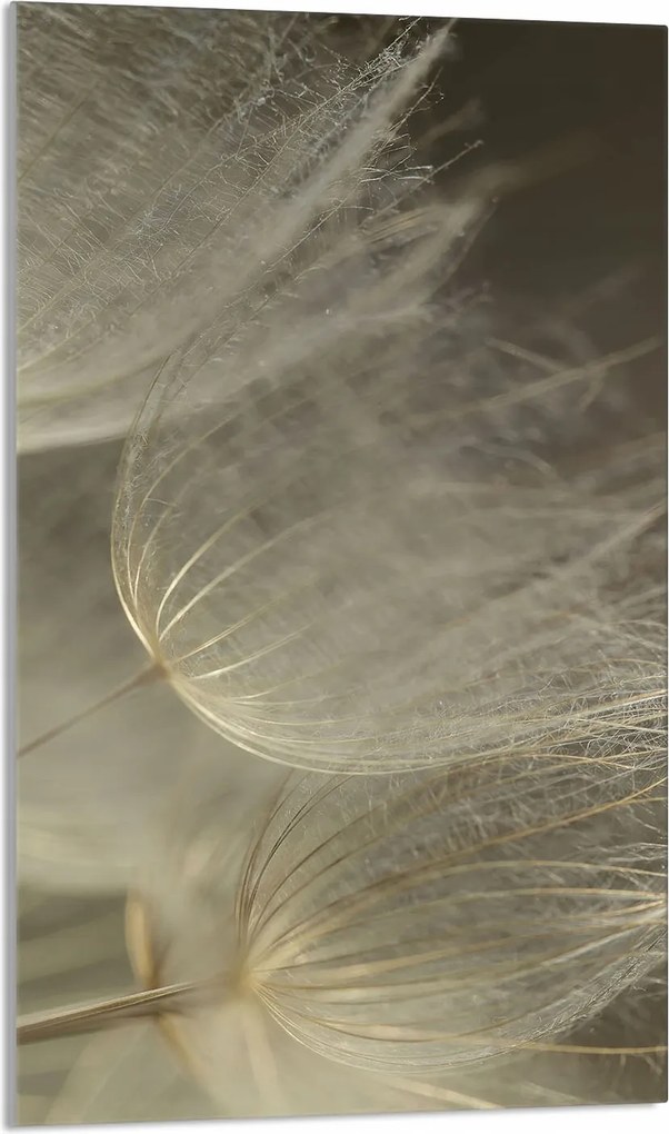 Üveg Vágódeszka 30x52 Virág a Konyhába