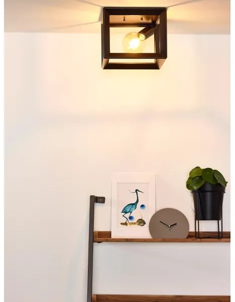 Lucide 73102/01/15 - Mennyezeti lámpa THOR 1xE27/60W/230V