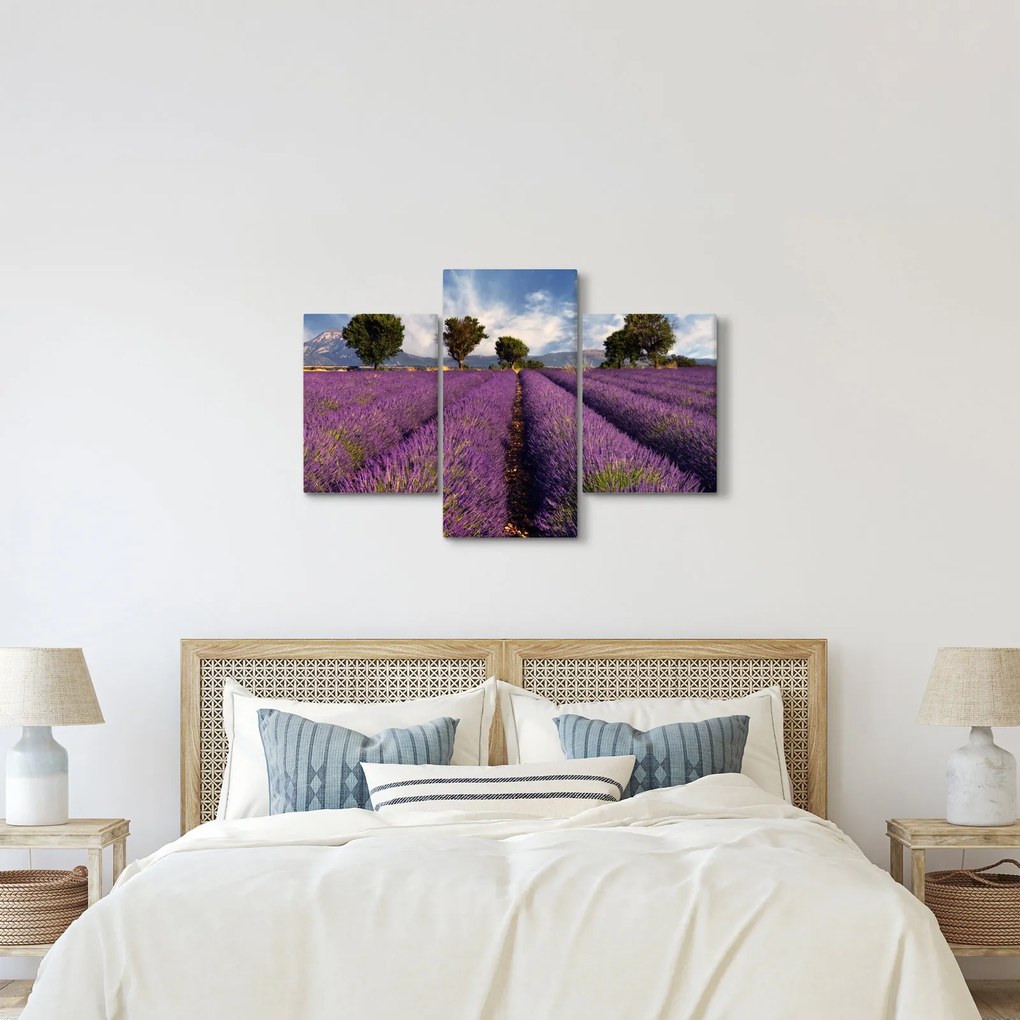 Kép - Levendula mező és hegyek (90x60 cm)