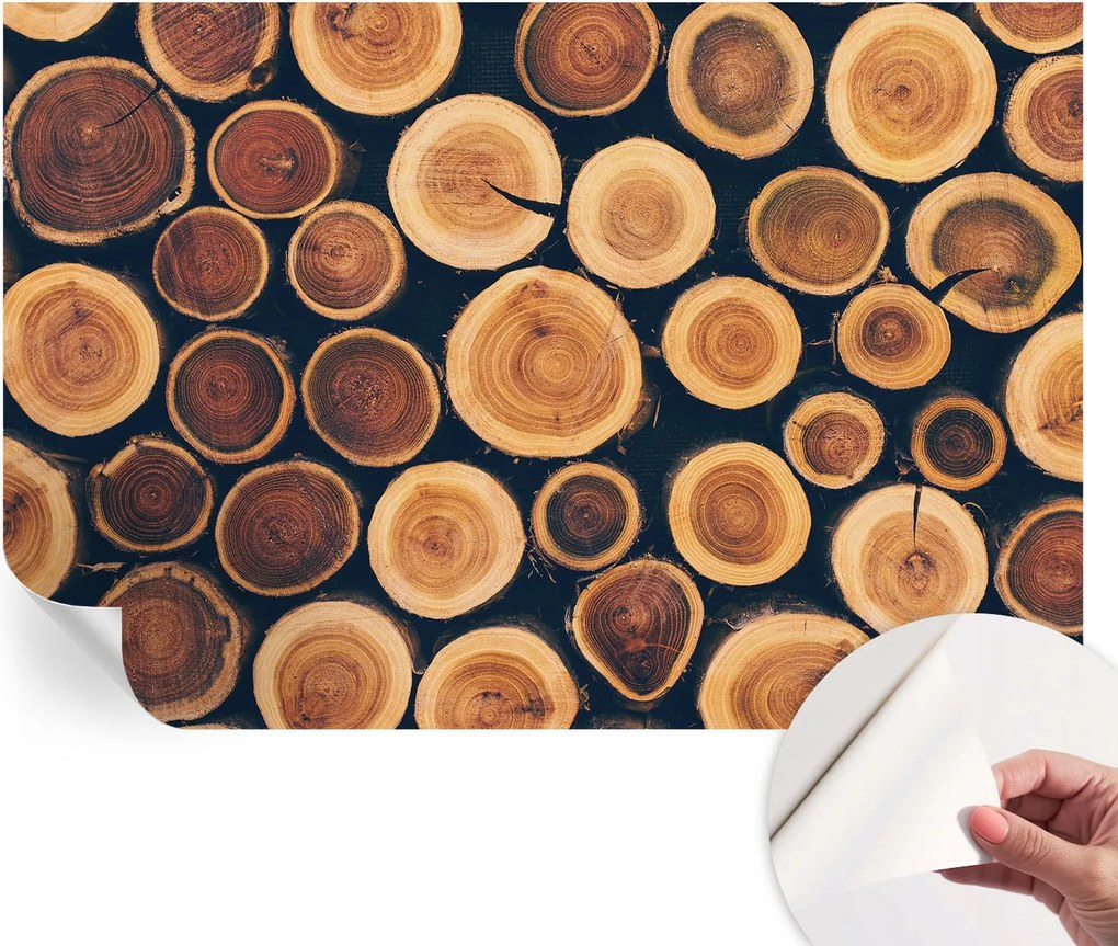 Mosható öntapadós fotótapéta étkezőbe Fa körök 104x70 cm