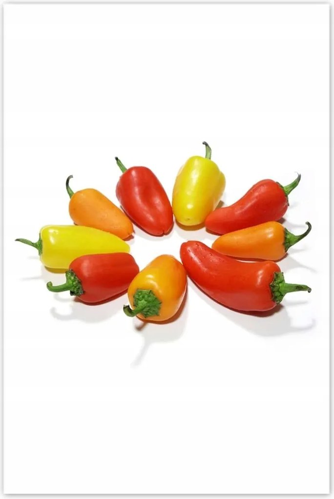 Poszterek 80x120 Gránátalma paprika