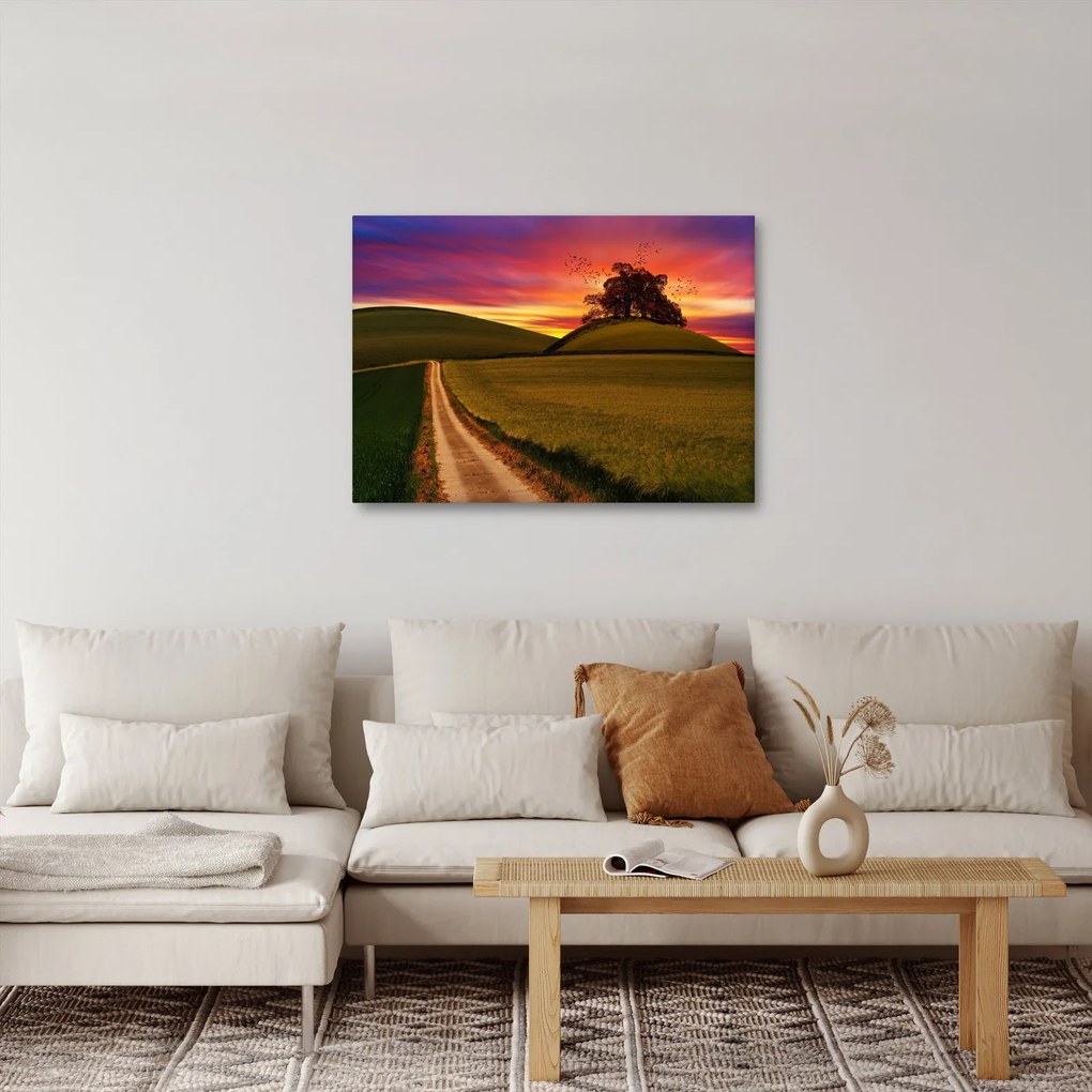 Mezei naplemente képe (70x50 cm)