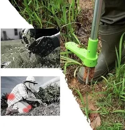 Zaparkorun SPINOUT gyomkiszedő