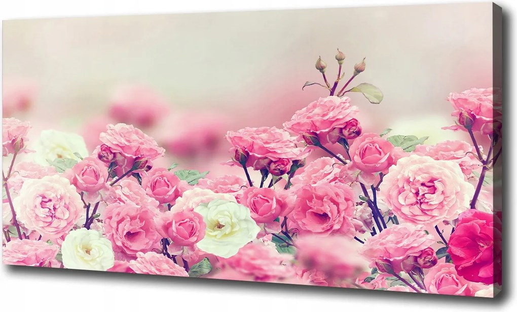 Vászonkép Csipkebogyó virágok 100x70cm