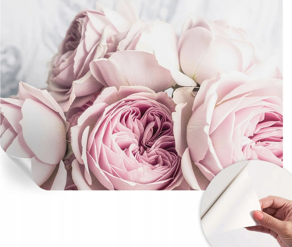 Öntapadós Dekoratív Fotótapéta Hálószobába Rózsaszín rózsák 104x70 cm