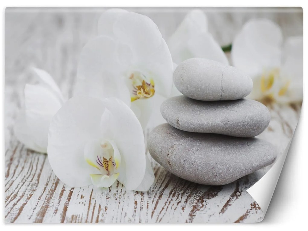 Gario Fotótapéta Virágok és zen kövek Anyag: Vlies, Méret: 100 x 70 cm