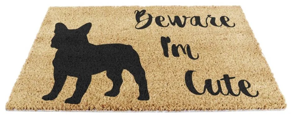 Kókuszrost lábtörlő 40x60 cm Beware I'm Cute French Bulldog – Artsy Doormats