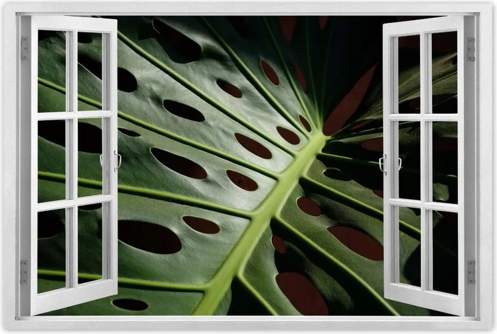 Poszterek 120x80 Mosnter levelek lyukas