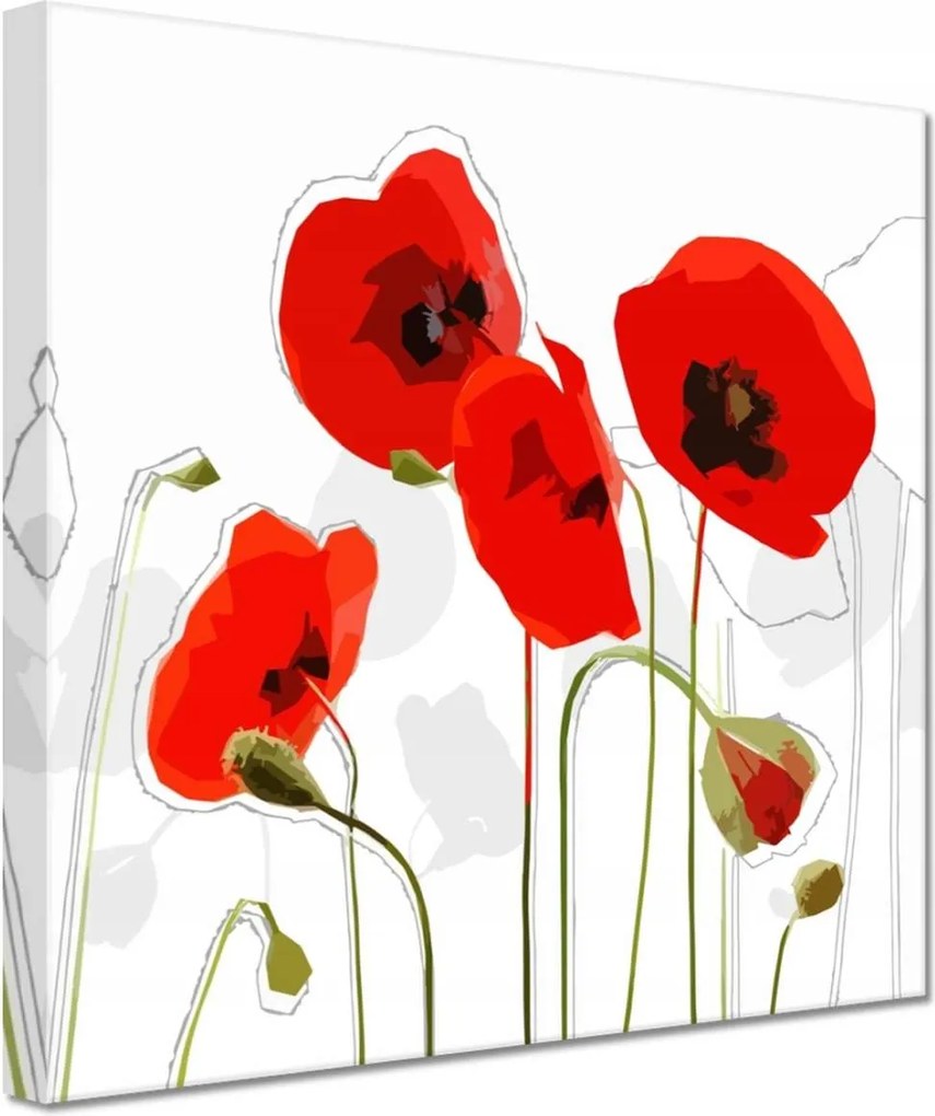 Vászonkép 20x20 Piros pipacs Virágok