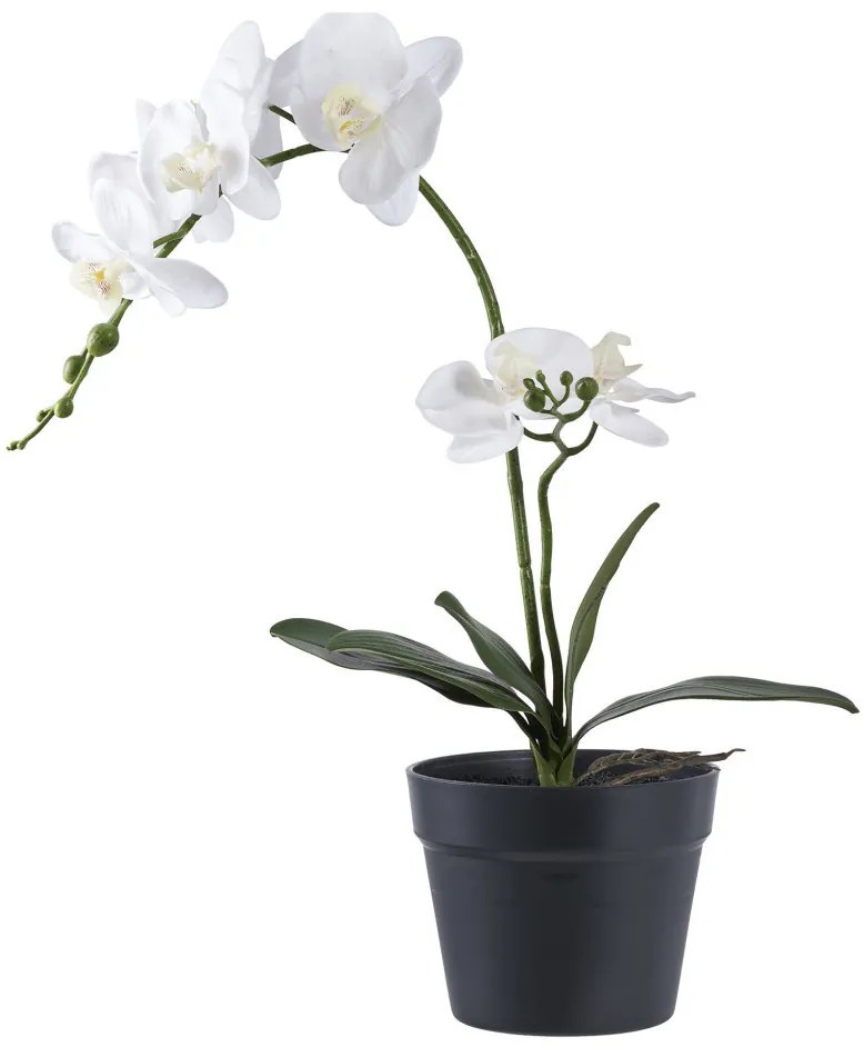 Orchidea műnövény 49 cm