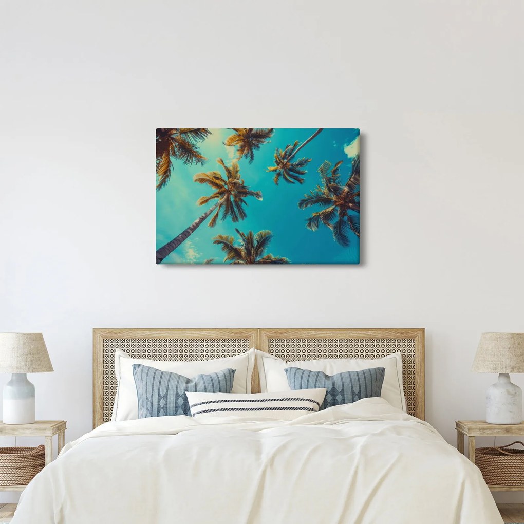 Kép - Magas pálmafák (90x60 cm)