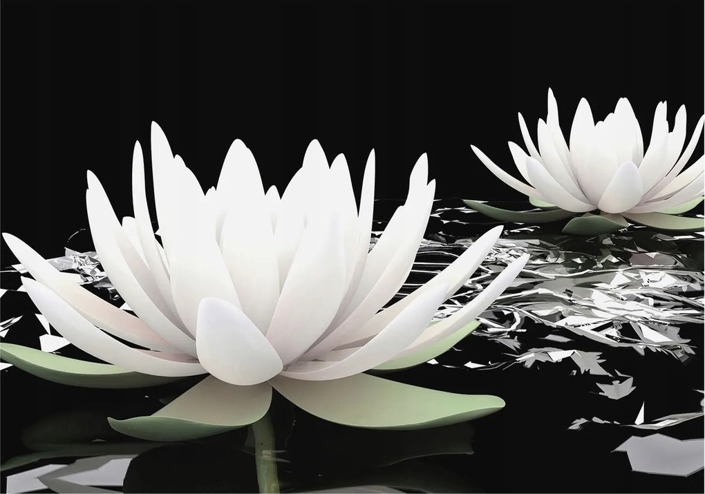 Dekoratív Fotótapéta Hálószobába Víz virágok 312x219 Ragasztó