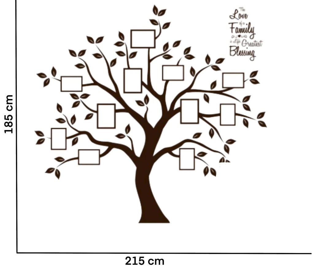 Falmatrica "Fa fényképekkel 3 - barna színű" 185x215cm