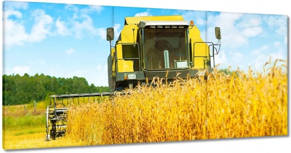 Képek 180x90 Kombájn gabona kaszálás