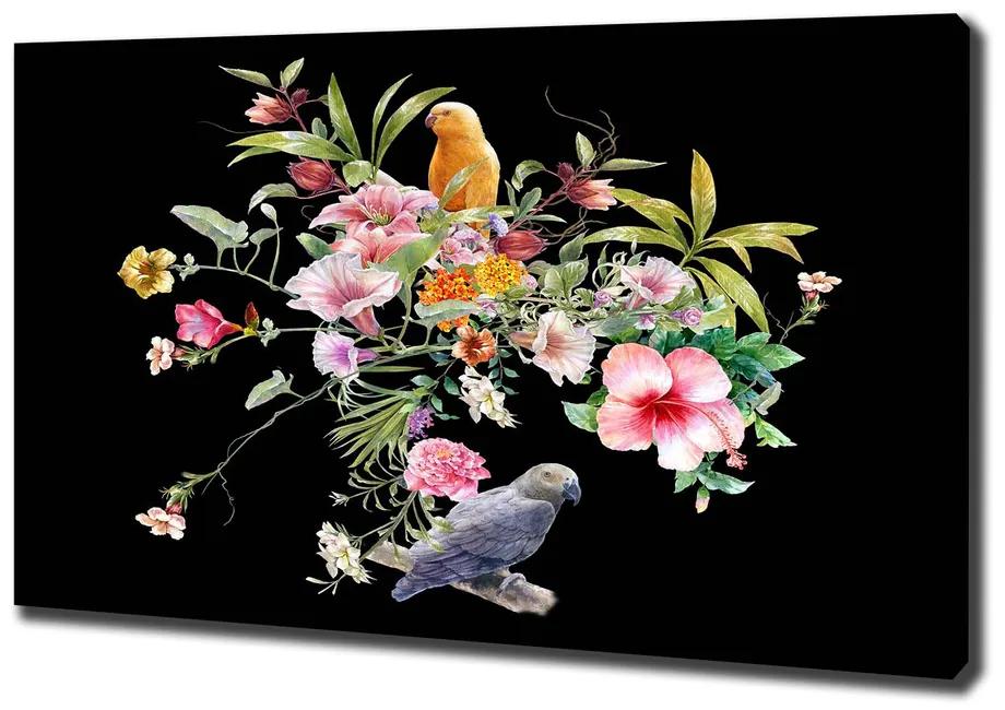 Vászonkép Virágok és madarak pl-oc-100x70-f-172830209