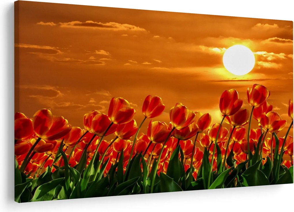 Kép egy virágzó mező tulipánokkal (90x60 cm)