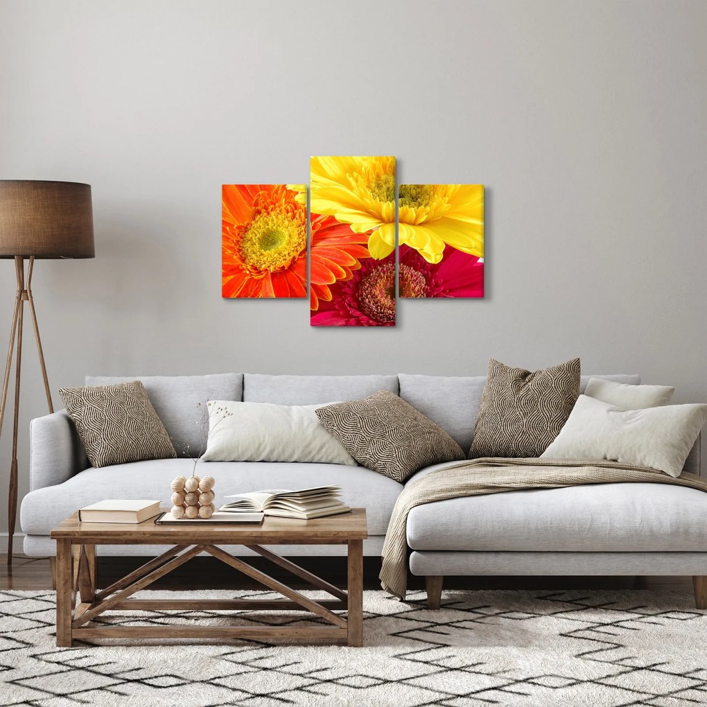 Kép - Virágok Gerbery (90x60 cm)