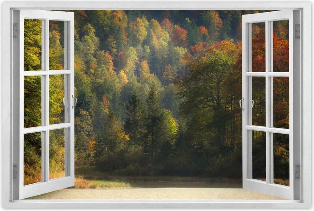 Poszterek 90x60 Erdei táj Kilátás