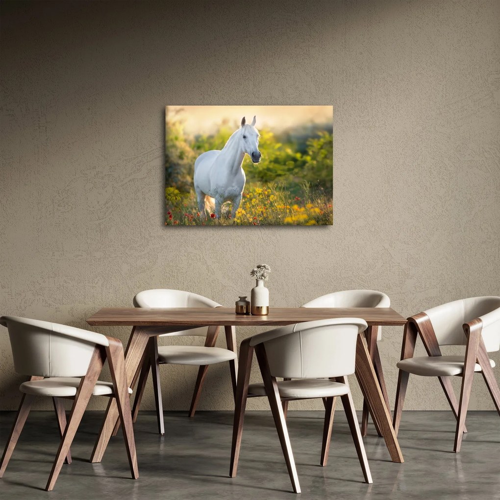 Egy fehér ló képe a réten (70x50 cm)