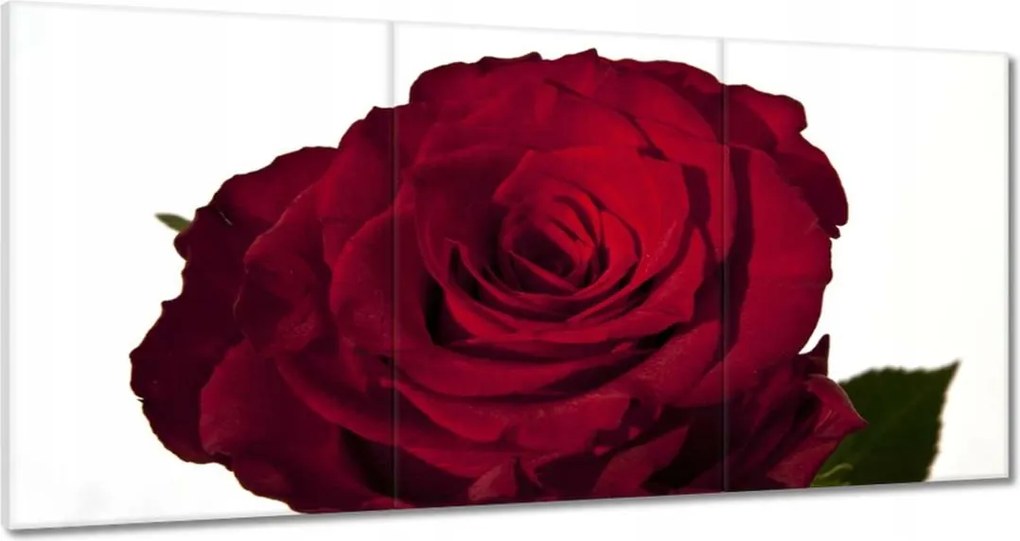 Vászonkép 180x90 Vörös rózsa fehér között