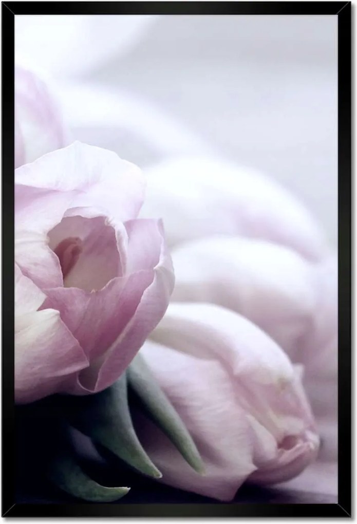 Poszterek keretben 40x60 Tulipánok Virágok