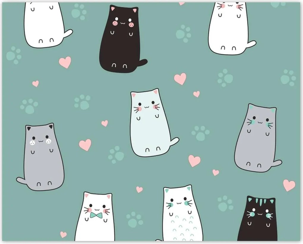 Poszterek 50x40 Cica Cicák Macskák