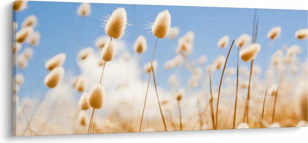 Kép - Arany mező (120x50 cm)