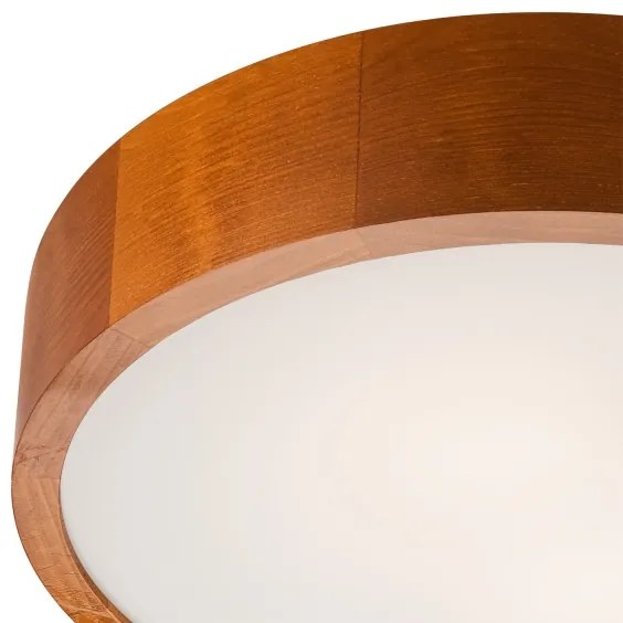 Mennyezeti lámpa 2xE27/60W/230V