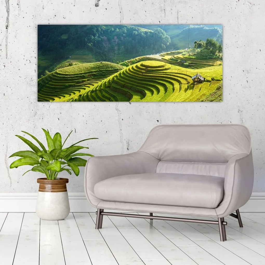 Kép - Rice Terraces koncert (120x50 cm)