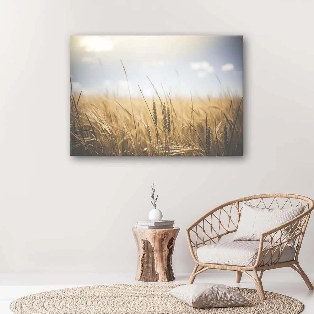 Gario Vászonkép Gabona a mezon Méret: 100 x 70 cm