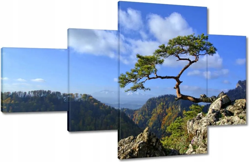 Festmények 130x80 Tájképek Kilátások Tájképek