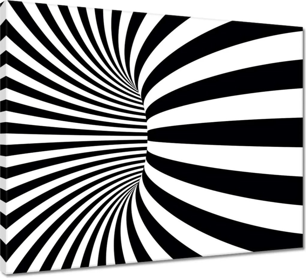 Vászonkép 50x40 Absztrakt fekete-fehér