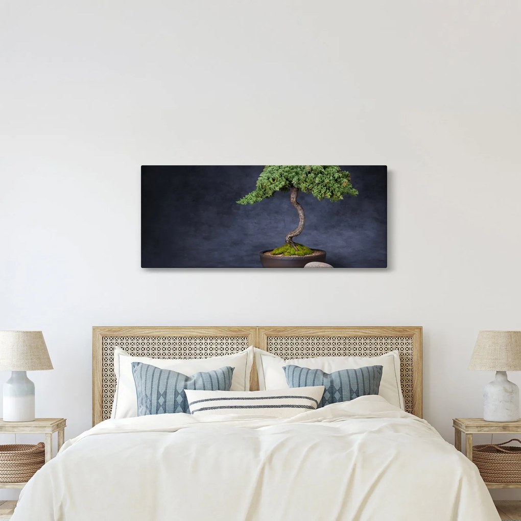 Kép - Bonsai (120x50 cm)