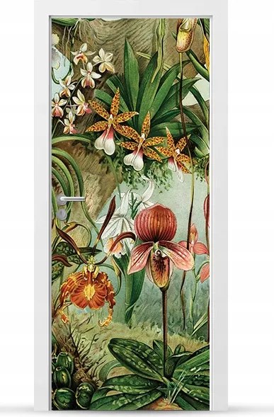 Fotótapéta furnér ajtó matrica szekrény bútor #SD147