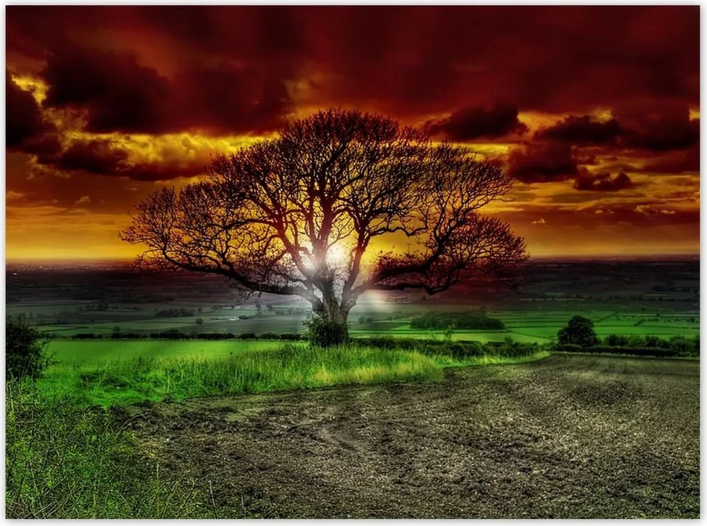 Poszterek 135x100 Varázslatos fa tájkép