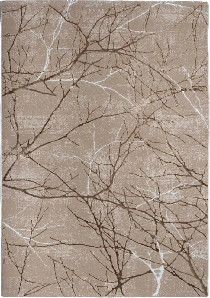 Creation szőnyeg 240×340 cm ágak Bézs elegáns dekoráció