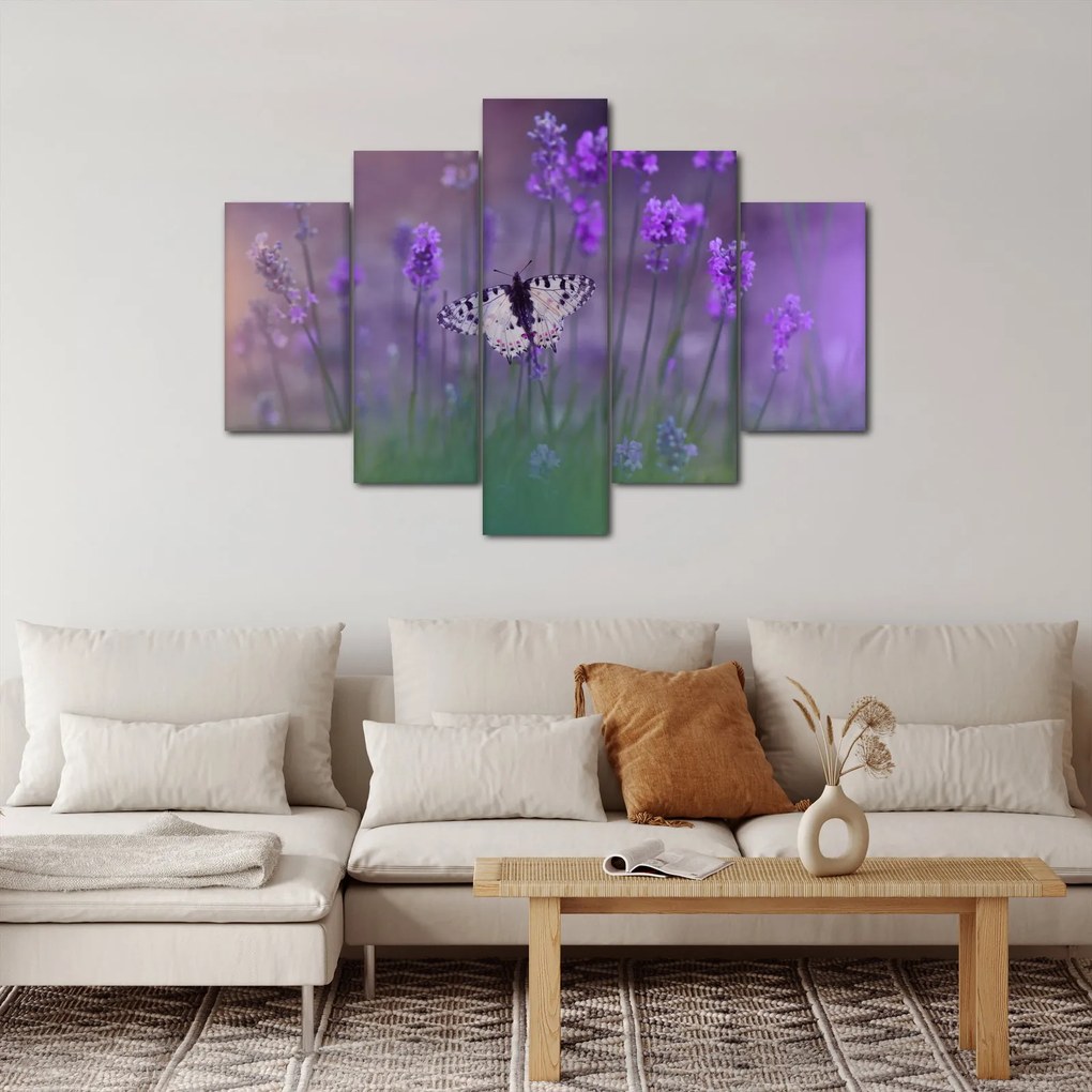 Kép - Pillangó a levendulán (150x105 cm)